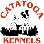 Catatoga Logo