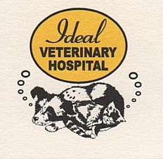 IDEAL LOGO