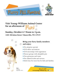 Furry Fall Festival Flyer_Dog