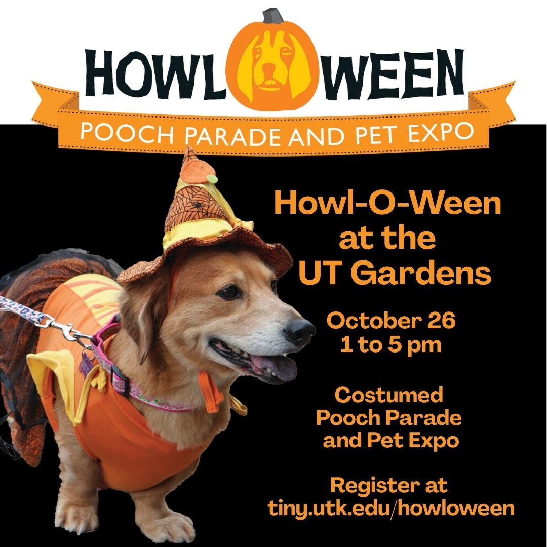 HowOWeen